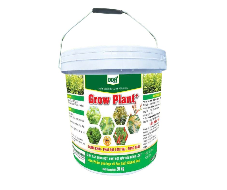 plant